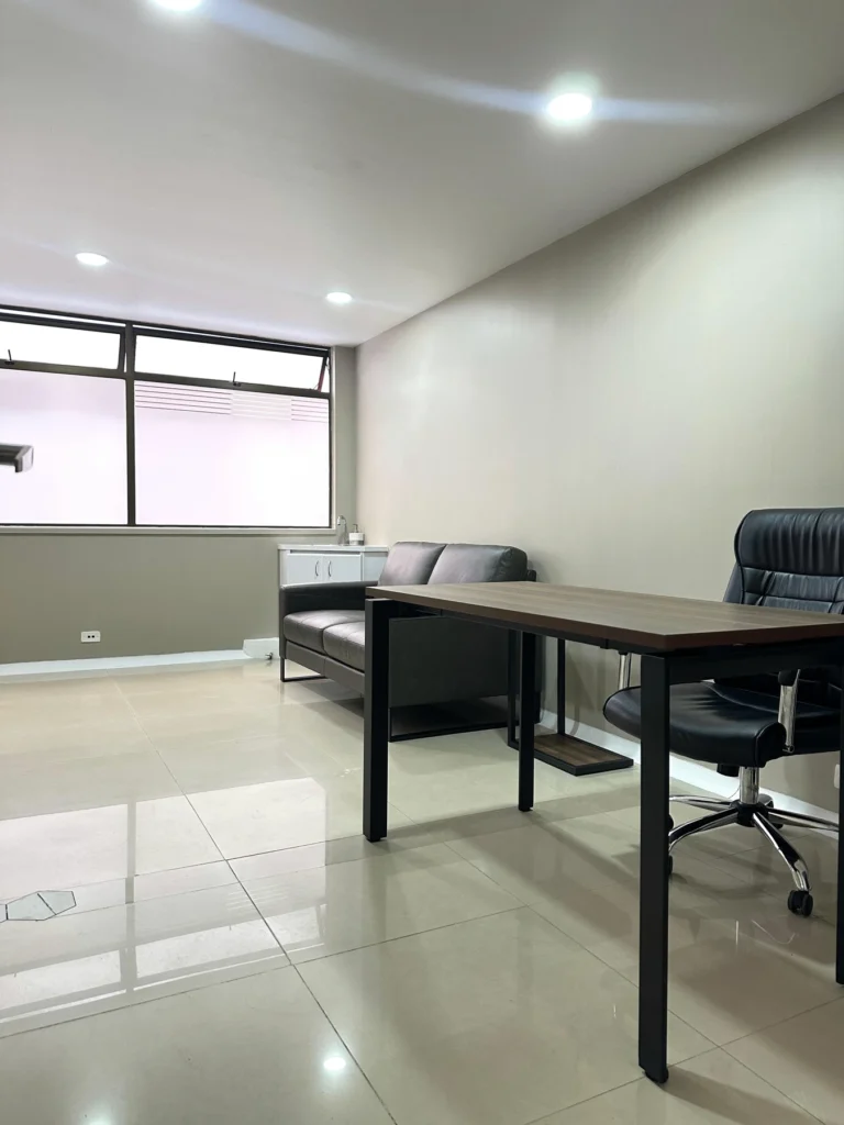 Escritorio y sofá en un ambiente amplio